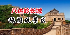 免费看操逼视频污中国北京-八达岭长城旅游风景区