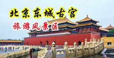 免费看插逼洞视频中国北京-东城古宫旅游风景区
